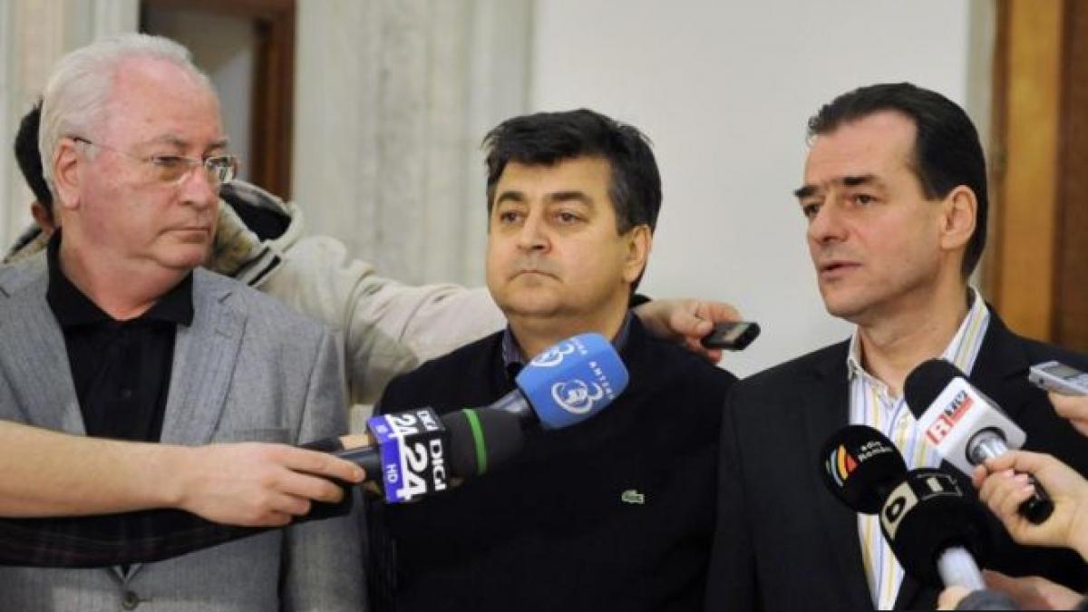 pnl isi ascute cutitele pentru functiile din parlament