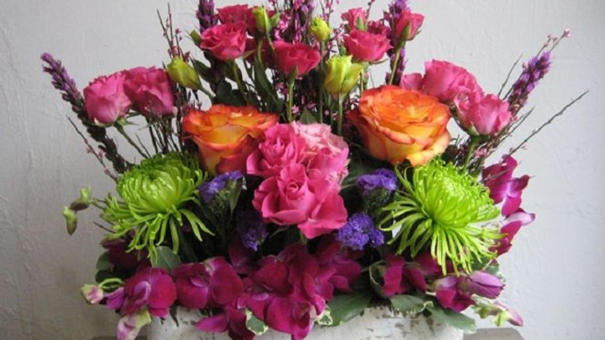 deputatii isi cumpara flori exotice au lansat oferta dar nu se cunoaste suma