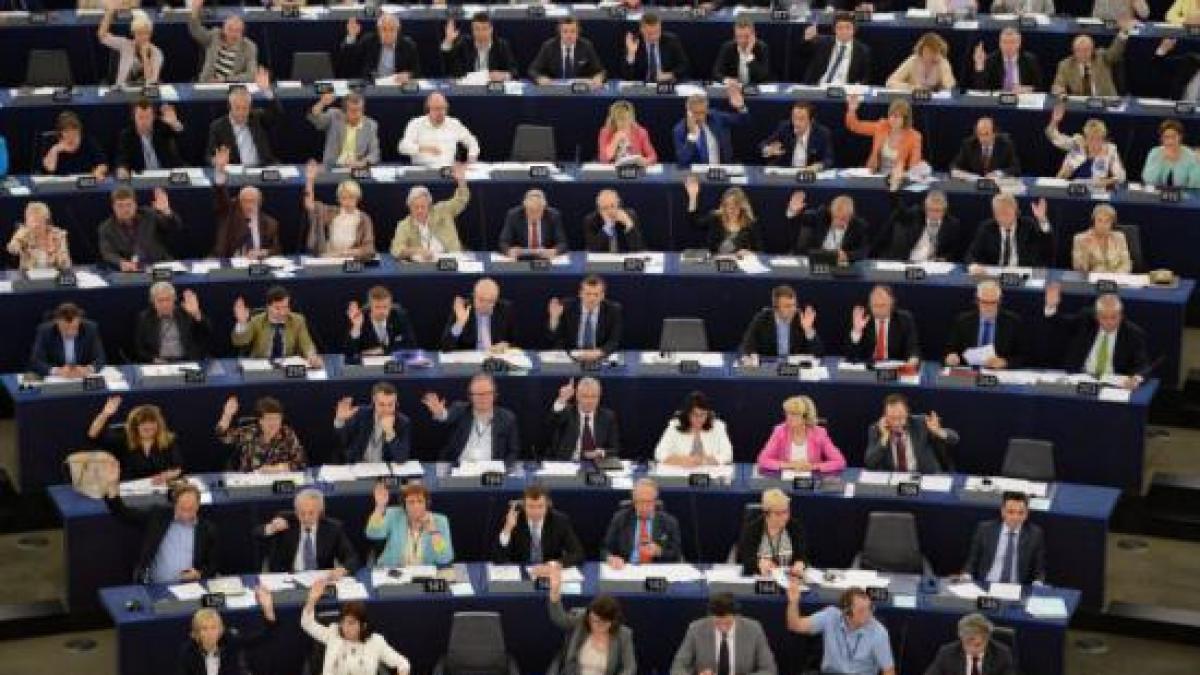 raport mcv cu multe critici