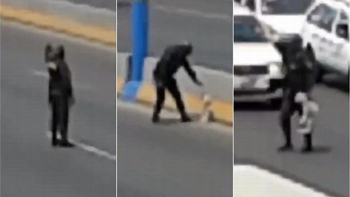 un politist de circulatie este eroul zilei a oprit traficul pe un bulevard aglomerat pentru a salva