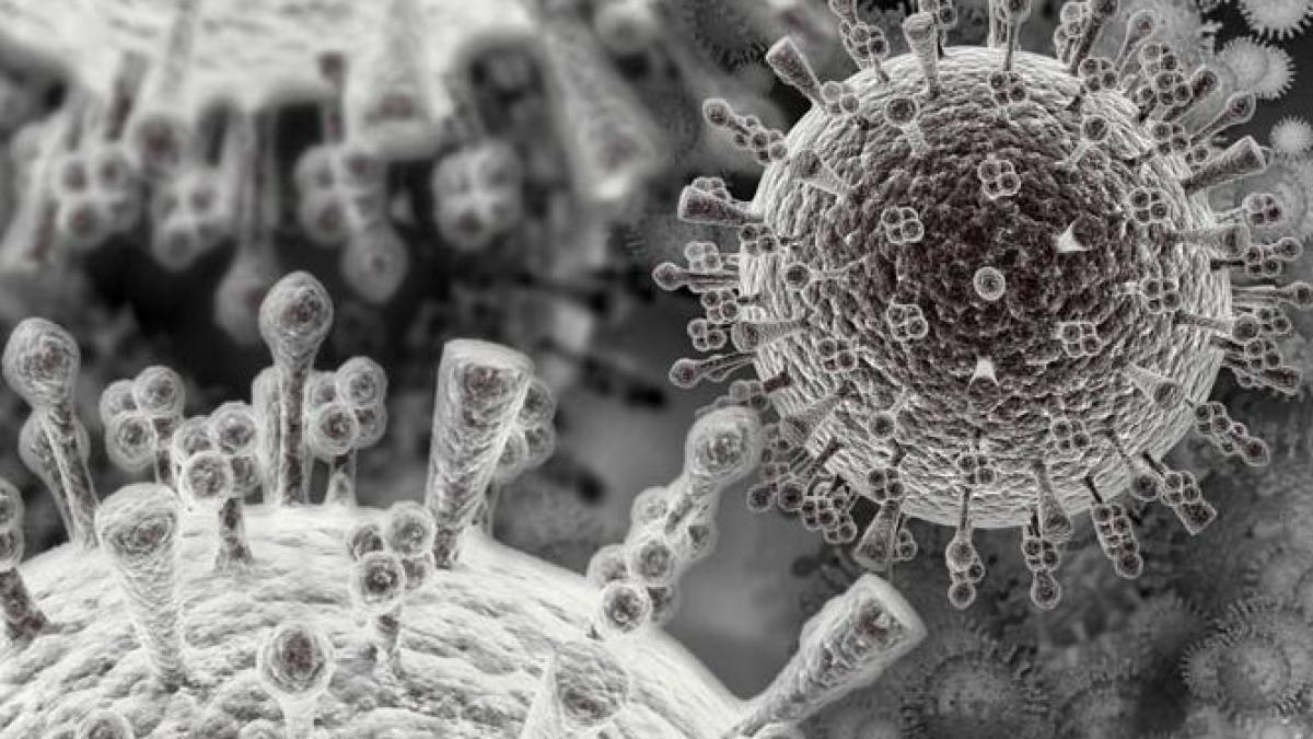 virus.jpg