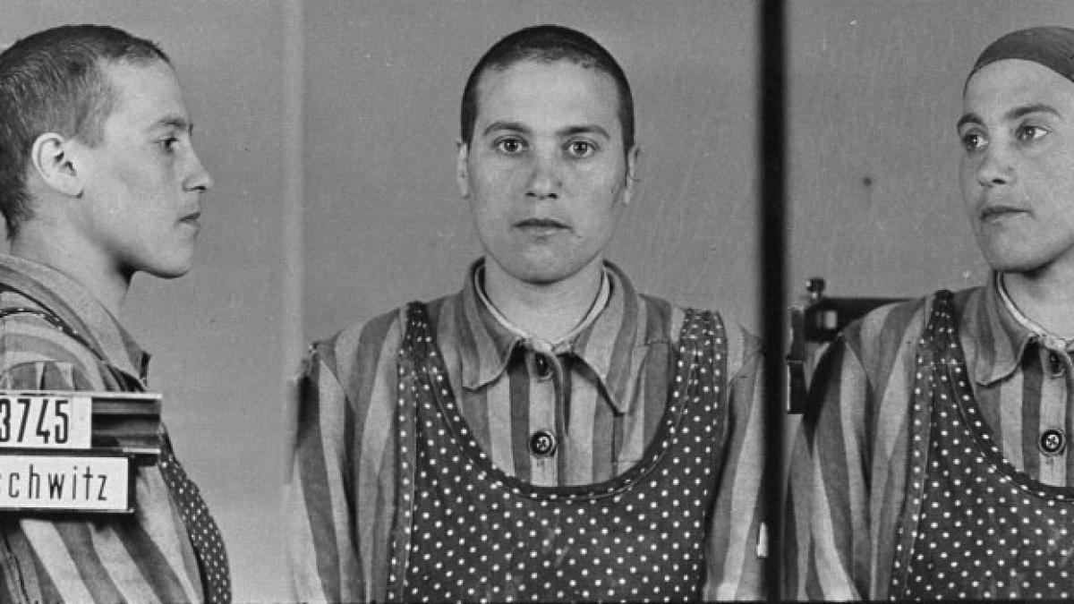 holocaustul tiganilor nomazii europei in fata solutiei finale la auschwitz