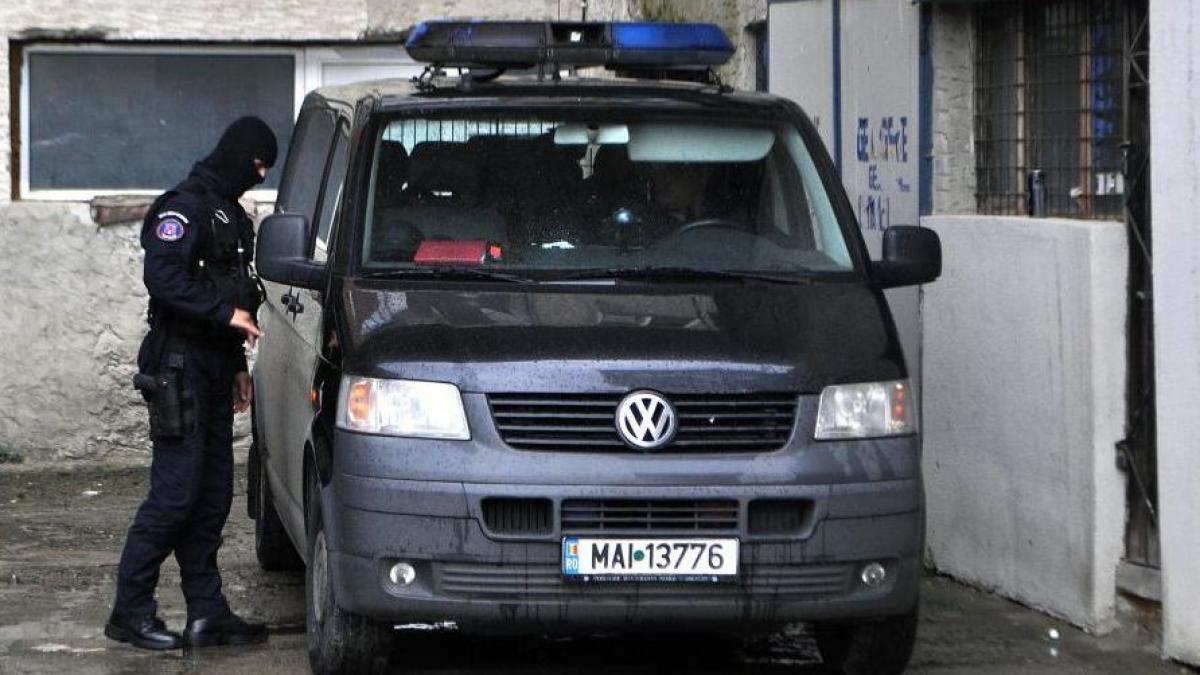 perchezitii la ferma de struti din telesti a judecatorului toni grebla