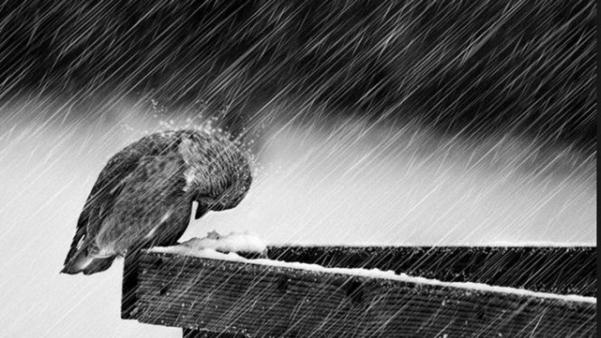 atentionare meteo weekendul vine cu ploi vant si ninsoare