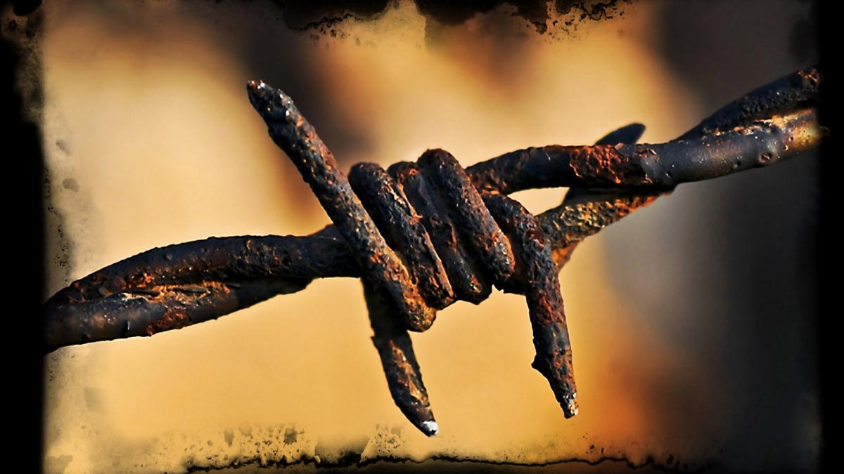 cine te va trada in viata in functie de zodie prietenii iubitii si rudele in top