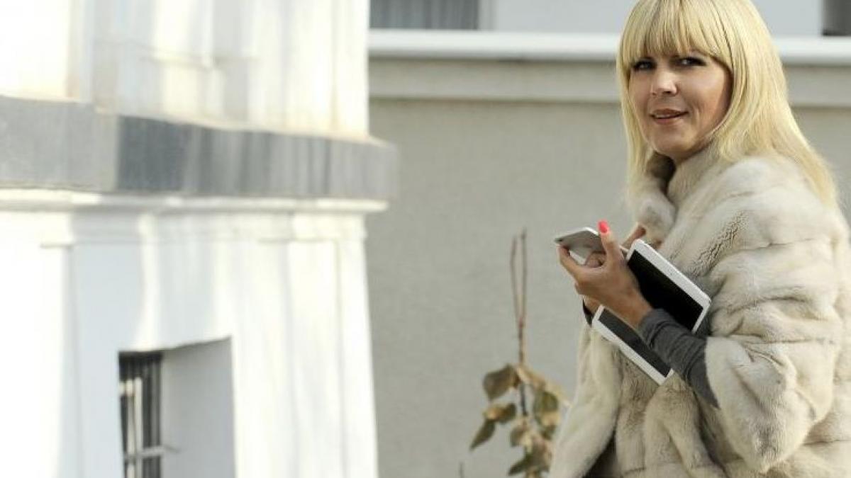 q a legatura elenei udrea cu dosarul microsoft mugur ciuvica cu banii din spaga si a achitat