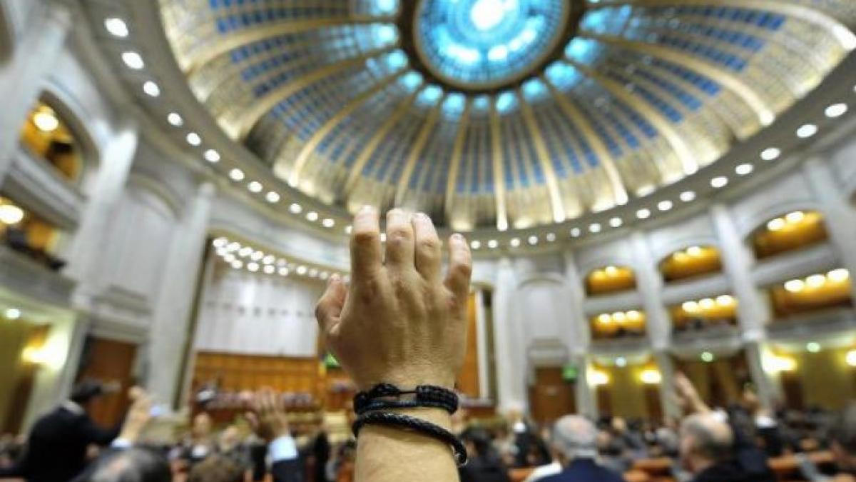 scandal in parlament pe legea insolventei