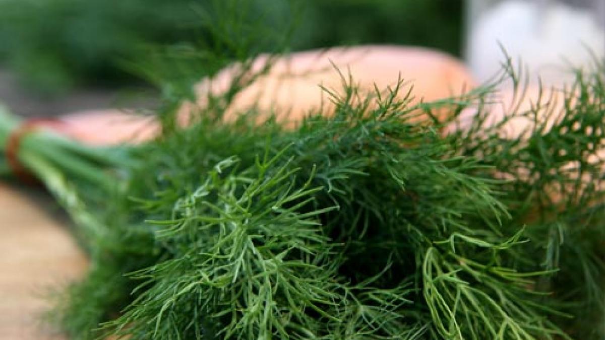 solutia naturala de a scapa de cosuri rezultatele sunt uimitoare