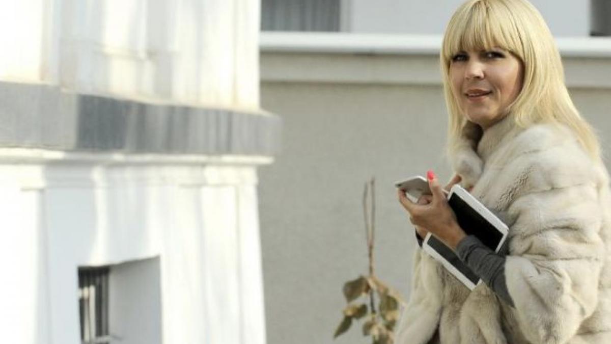comunicatul dna care explica de ce este acuzata elena udrea de spalare de bani