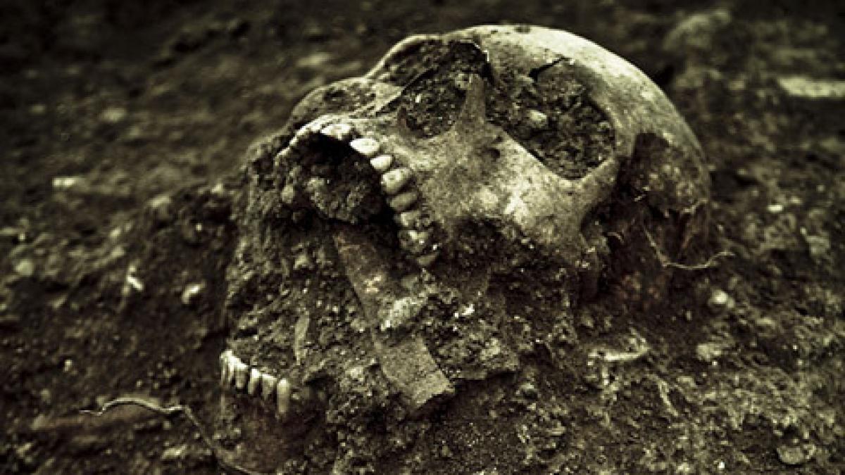 o descoperire cheie victorie pentru evolutionisti ce au gasit intr o pestera in israel