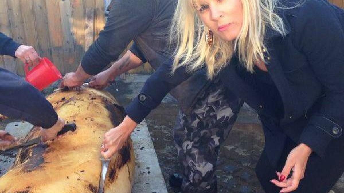 averea lui udrea nu a fost niciodata verificata de ani cat de bogata este protejata lui basescu