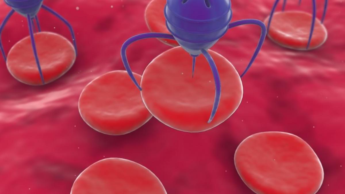 nanobotii viitorul medicinei sunt cea mai buna speranta in lupta cu boala