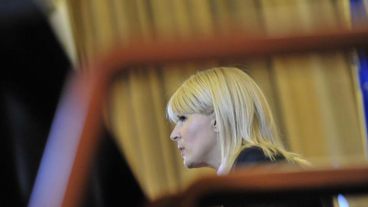 noi dezvaluiri in dosarul elenei udrea gala bute facuta pe credit luat de obreja