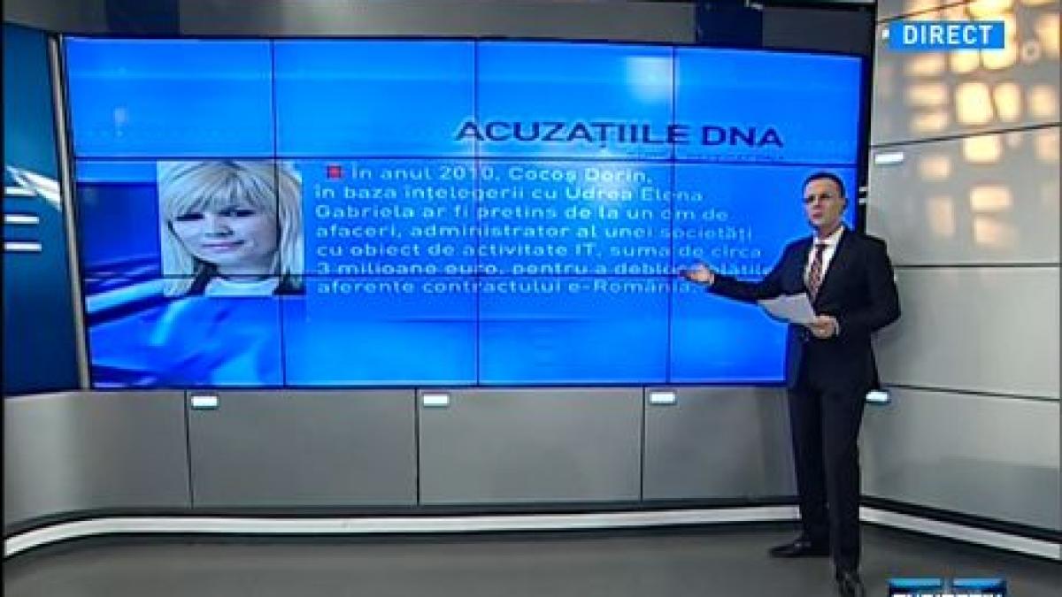 subiectiv acuzatiile dna la adresa elenei udrea