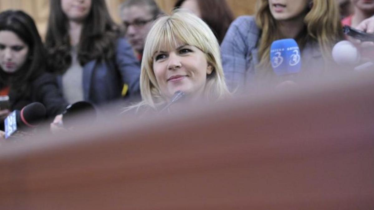 cererile de arestare a elenei udrea discutate luni