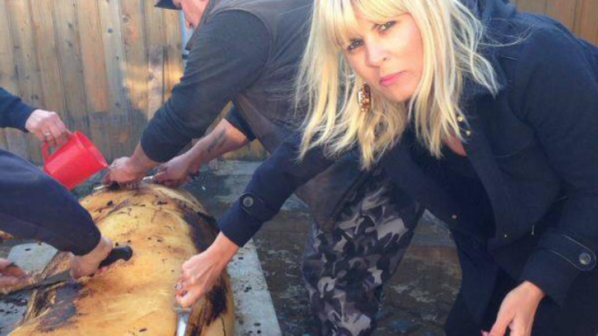 nume grele din politica vor cadea dupa elena udrea cine mai este mentionat in avalansa de acuzatii