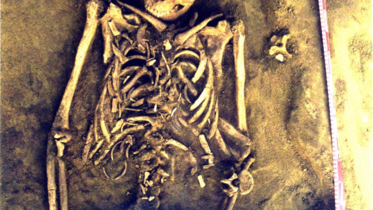 un mormant vechi de peste 7000 de ani dovezi ale celui mai vechi caz descoperit de moarte la nastere