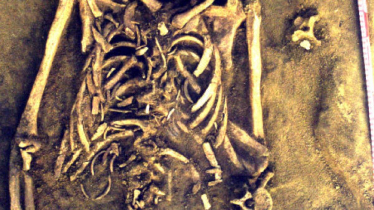 descoperire cutremuratoare intr un mormant din siberia ce au gasit inauntru cand au dat piatra la o