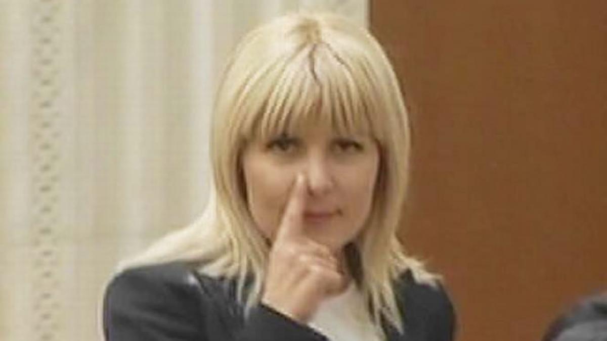 gestul facut de elena udrea in parlament explicat la sinteza zilei ce a scris udrea pe facebook