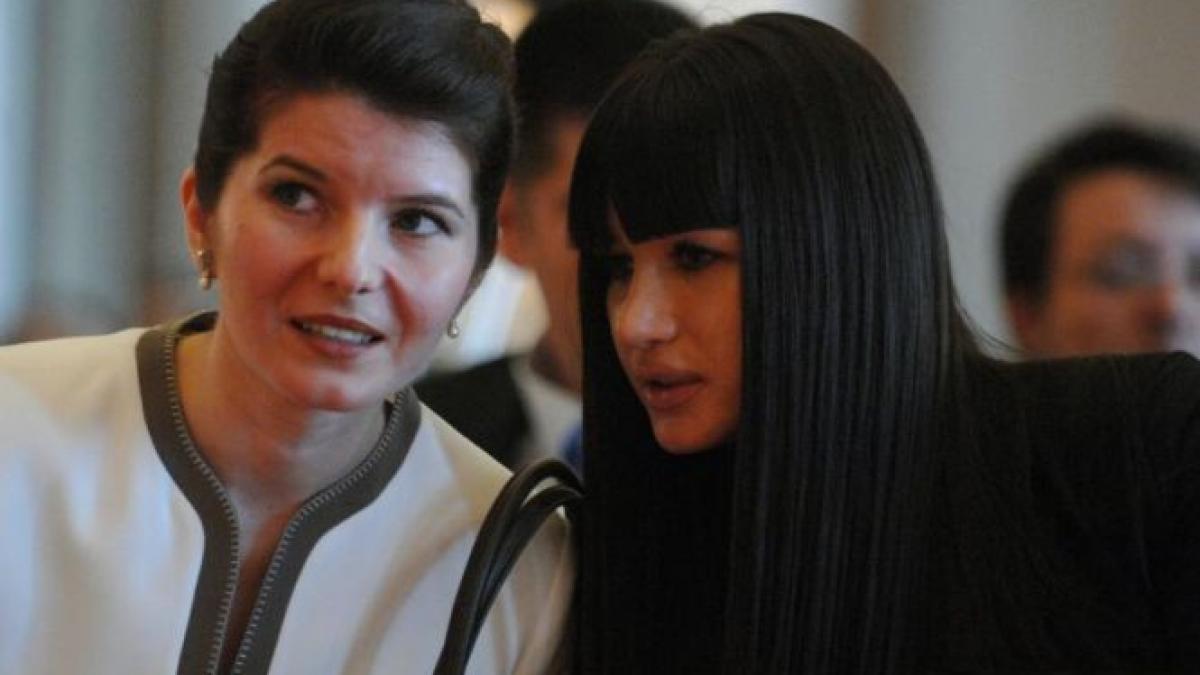 numele elenei basescu in procesul lui ridzi