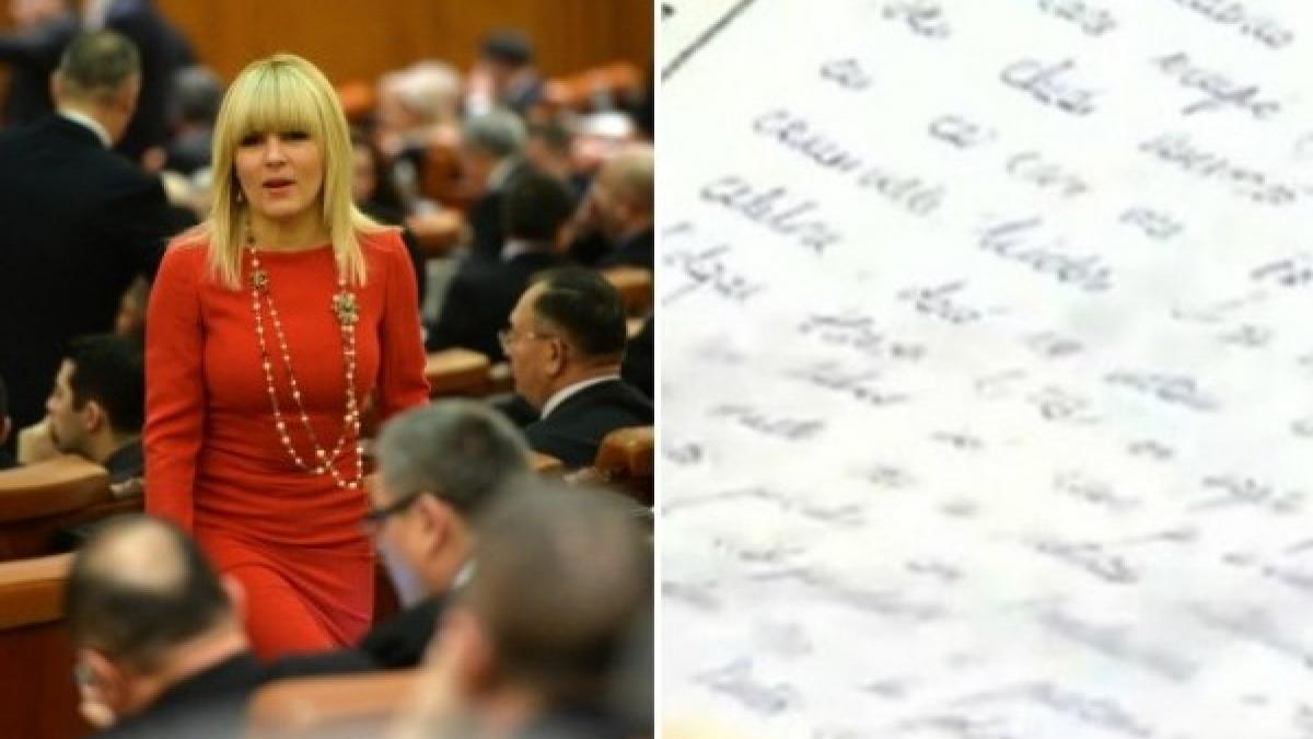 jurnalul elenei udrea ultima insemnare credeam ca macovei ii manevreaza detalii incredibile scrise