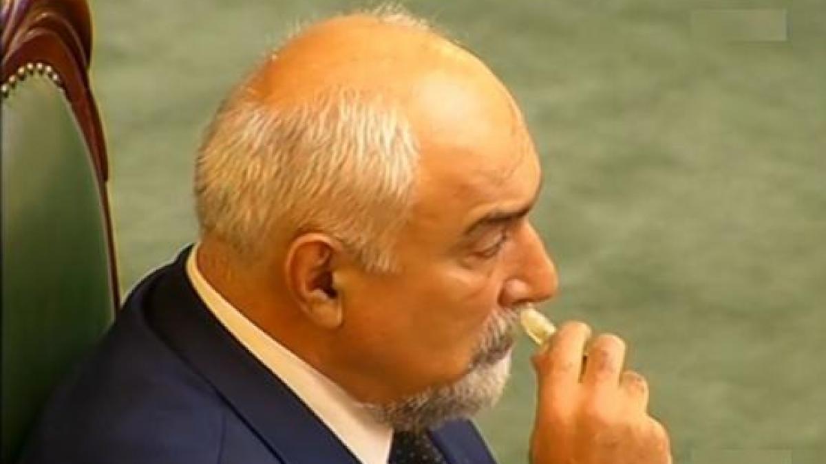 voicu pnl votul in cazul vosganian un incident regretabil