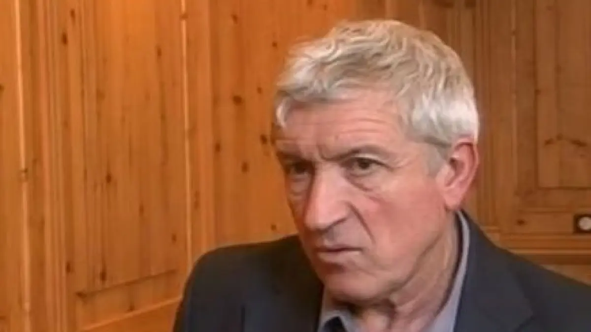 mircea diaconu se simte o organizare toxica in cazul elenei udrea