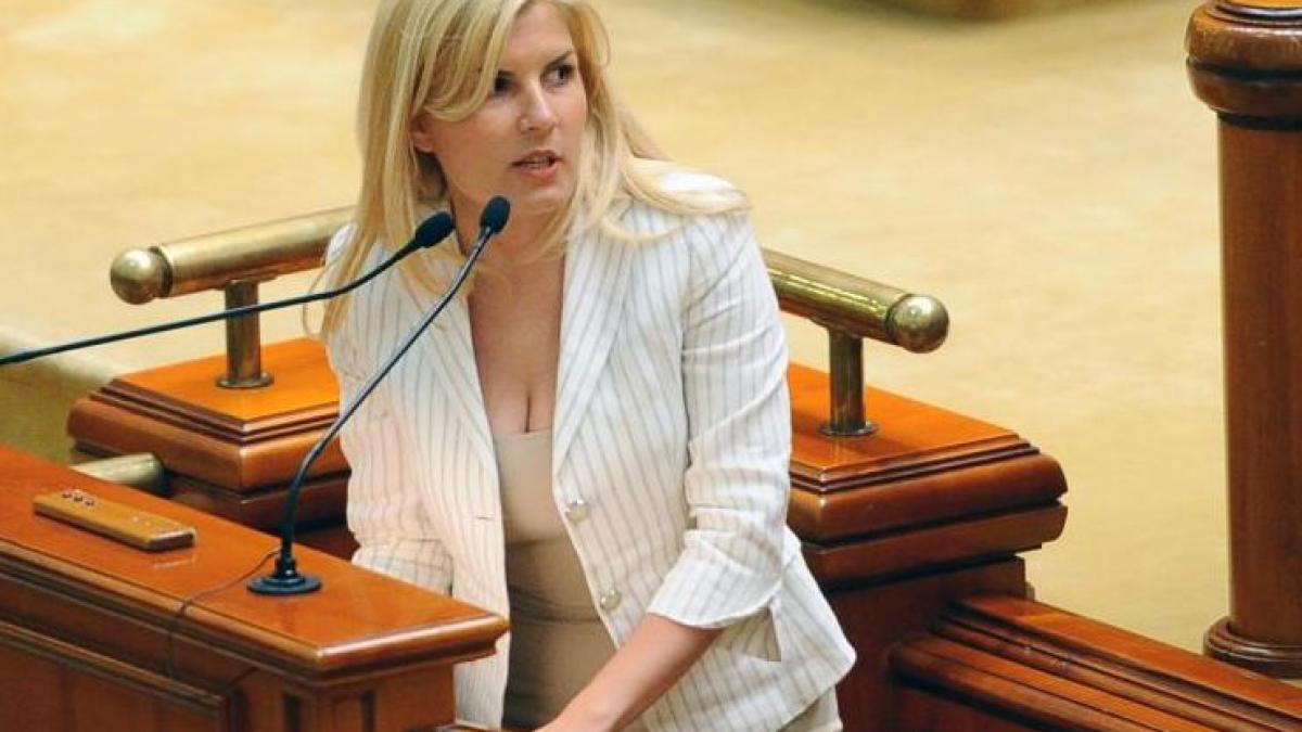 deputatii in dificultate din cauza noului aviz pentru udrea zgonea nu exista o procedura pentru un
