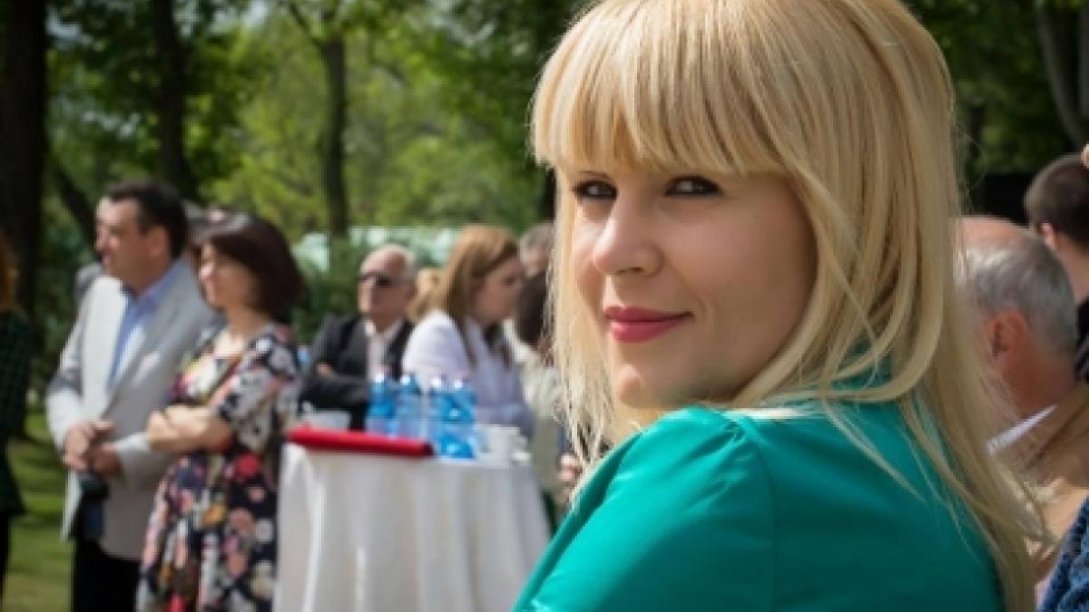 ce facea elena udrea in vara lui 2013 nu si imagina ca tocmai asta o va infunda