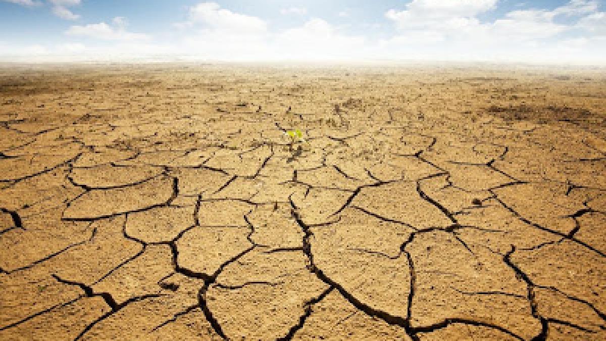 omenirea ar putea ramane fara hrana incalzirea globala principalul dusman