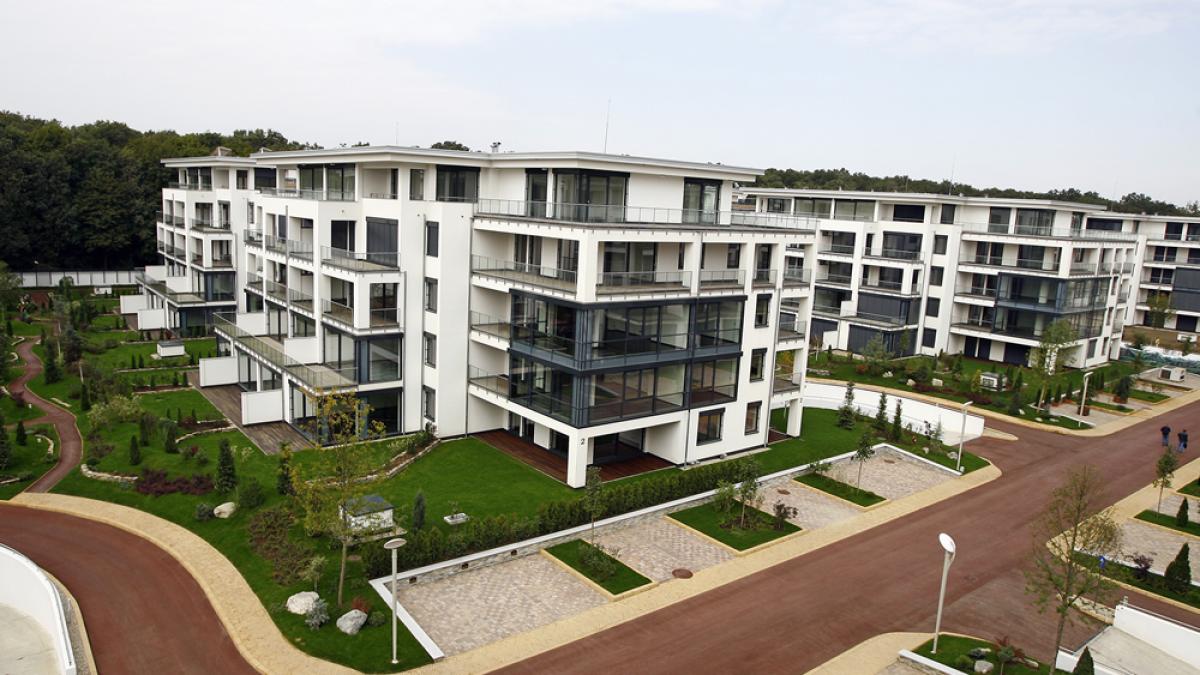 ion tiriac invita autoritatile sa verifice legalitatea firmelor sale dupa scandalul cu elena udrea