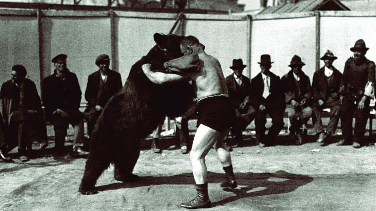 o istorie a circului romanesc de la pehlivani la acrobati