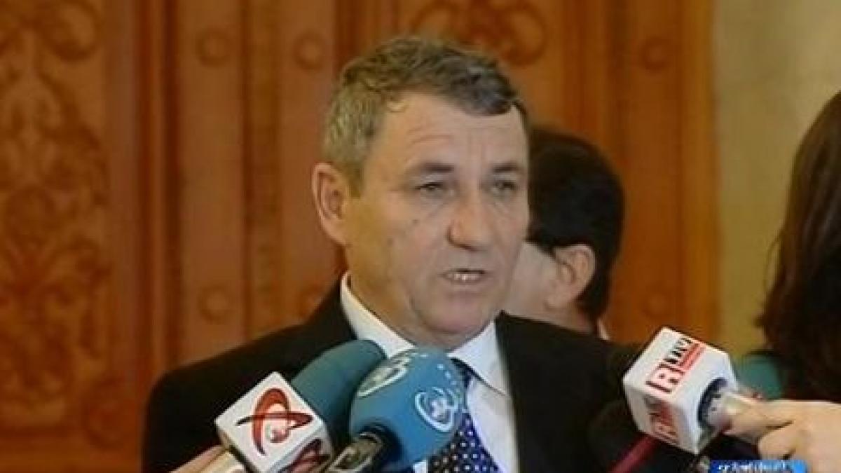 sedinta de urgenta in parlament pentru cazul elenei udrea