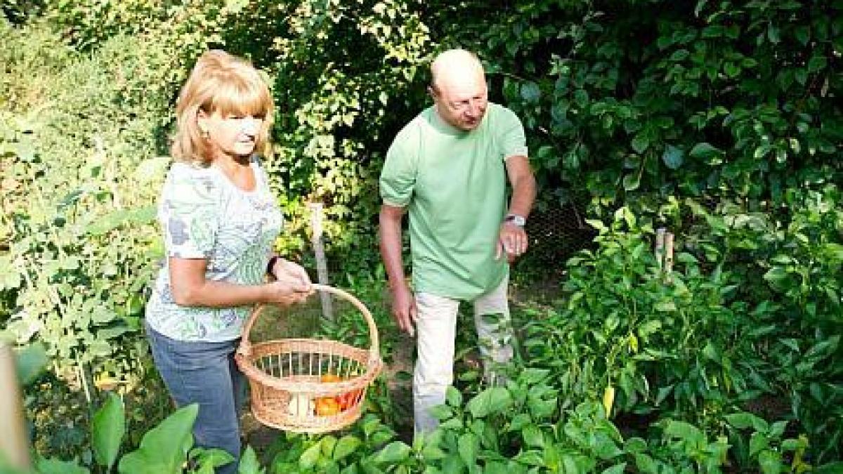ce mai face basescu in vila lac 3 perioada de 60 de zile in care trebuia sa paraseasca locuinta a