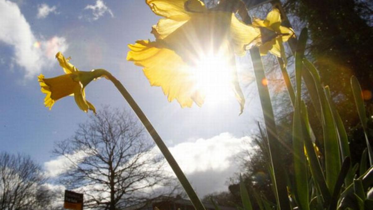 cum va fi vremea in urmatoarele trei luni