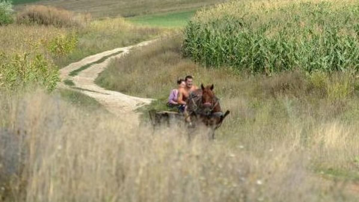 un adolescent a fost snopit in bataie de un vecin tanarul ar fi furat doua roti de la o caruta