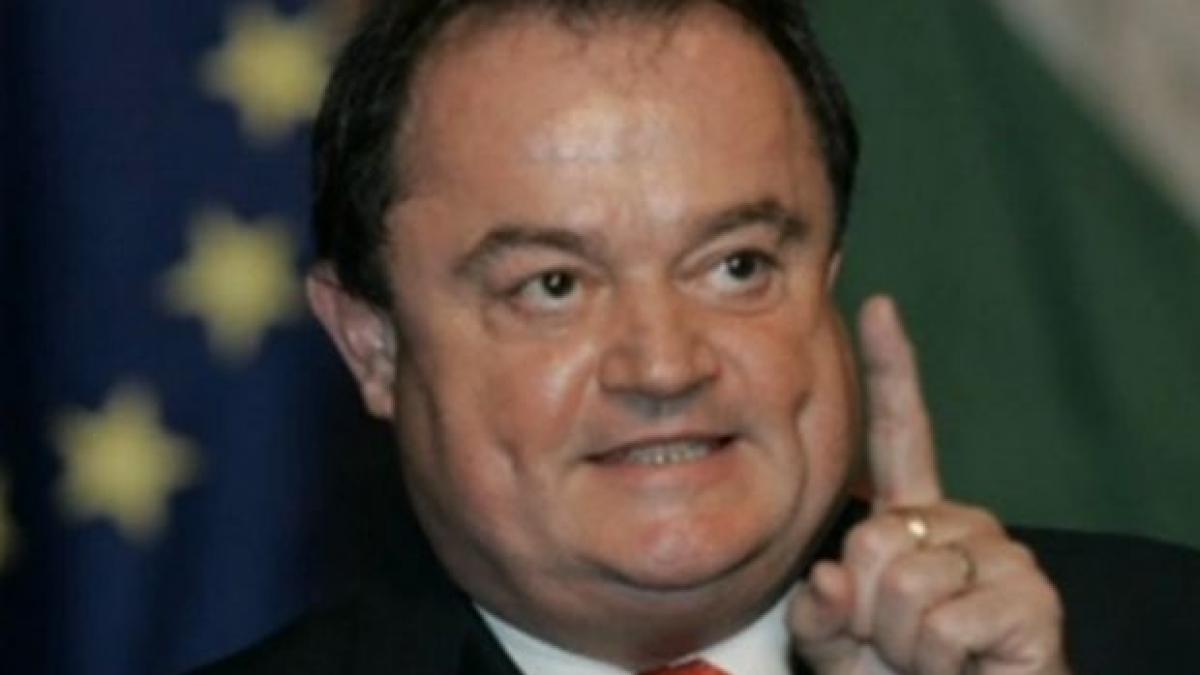 deziluzia optica buldogul si ciolanul