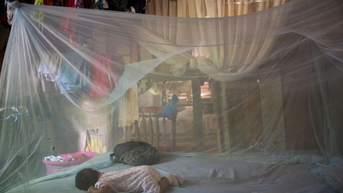 un virus foarte periculos a aparut si provoaca dureri musculare puternice mae avertizeaza toti