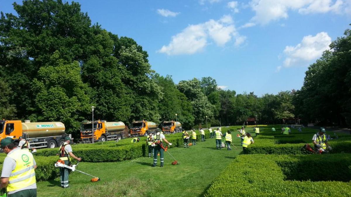 p evolutia grupului romprest si viziunea de business integrat