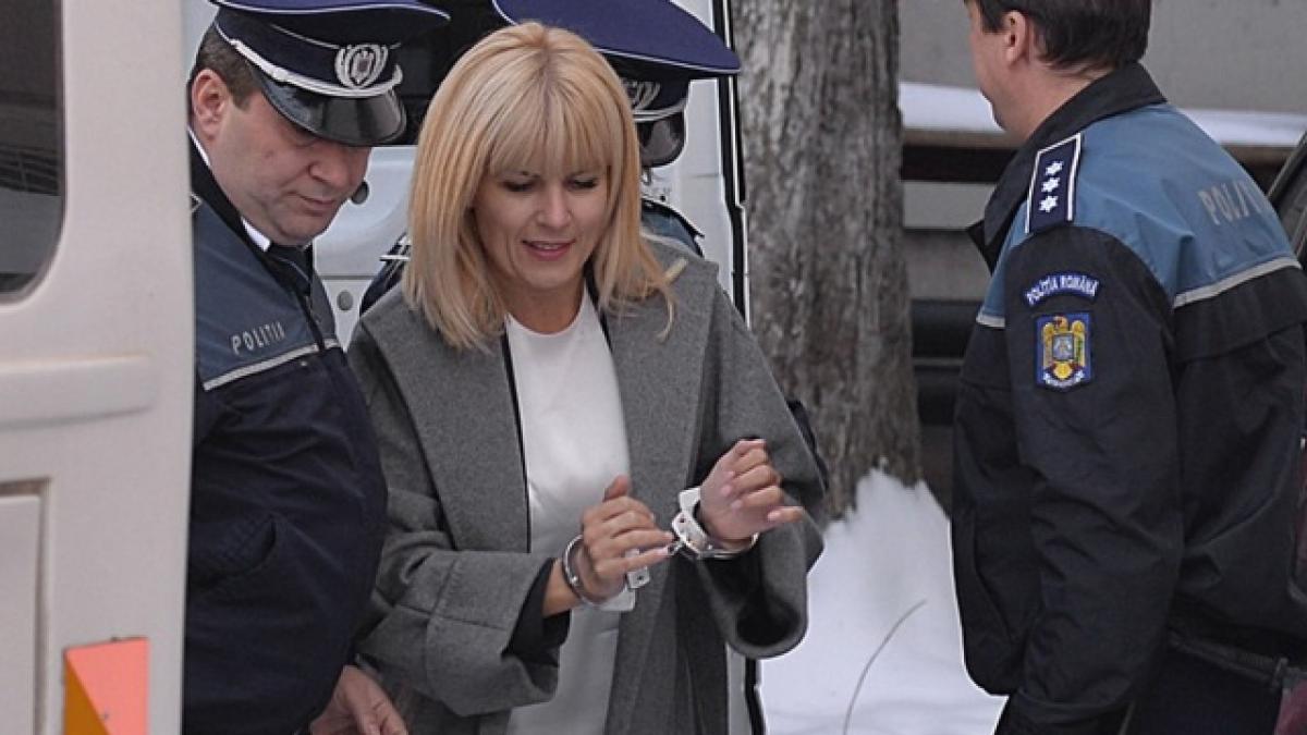 elena udrea s a intors in celula ce sanse are pentru a fi eliberata din nou