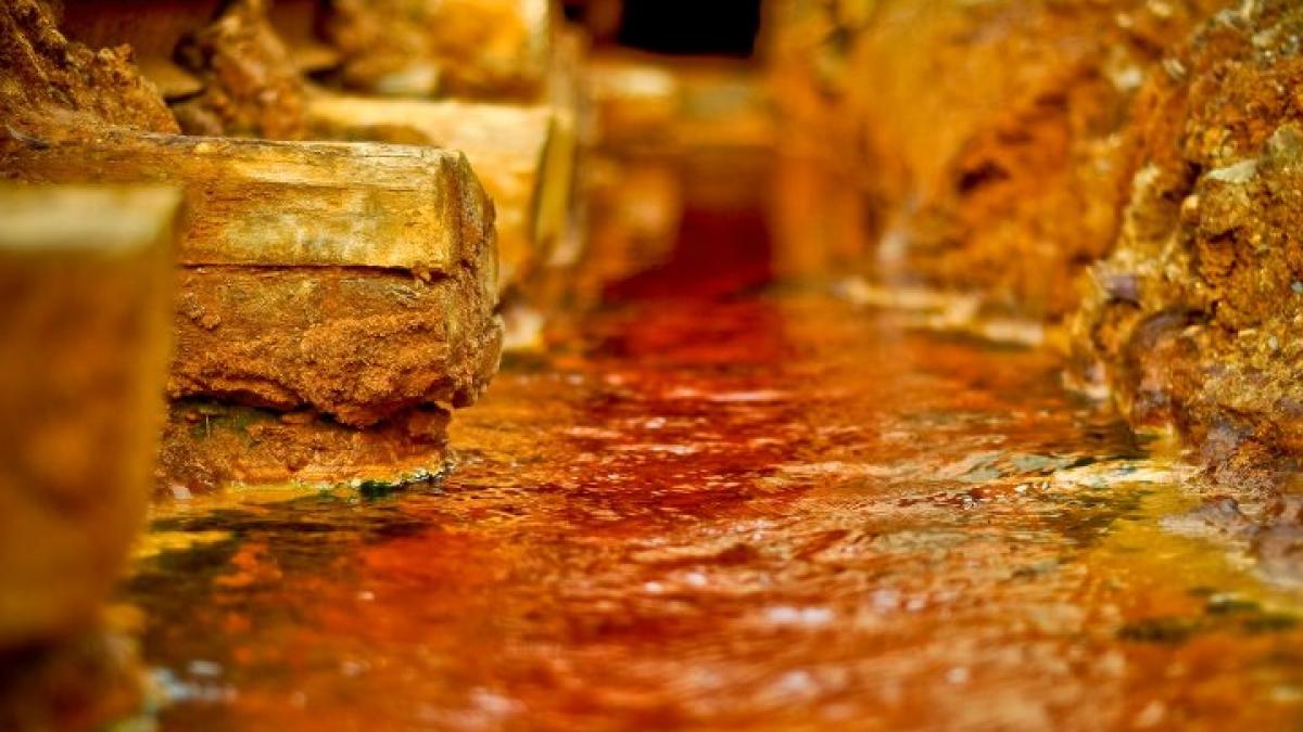 cat aur este de fapt la rosia montana nu putem ajunge la tot