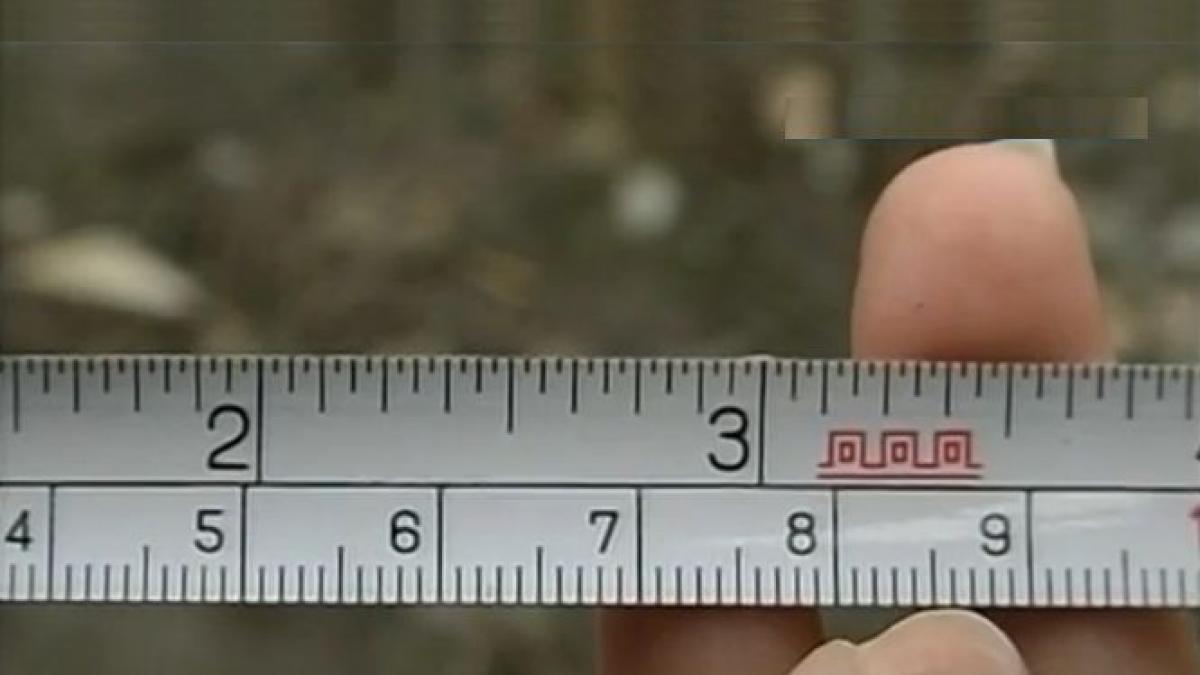 romania o familie trebuie sa si mute gardul cu 2 6 milimetri