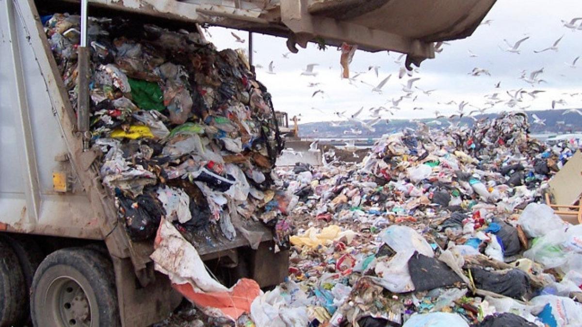 tara din europa care a ramas fara gunoaie am ajuns sa importam deseuri de la tarile vecine cati