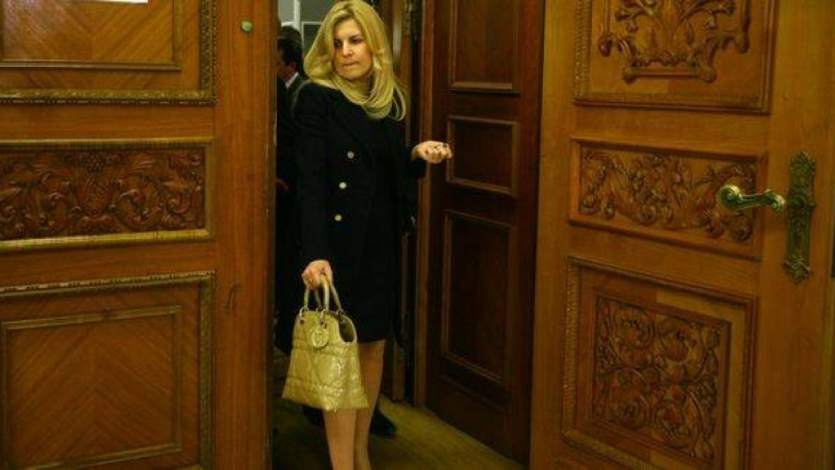 judecatori elena udrea a coordonat si controlat un intreg sistem de coruptie