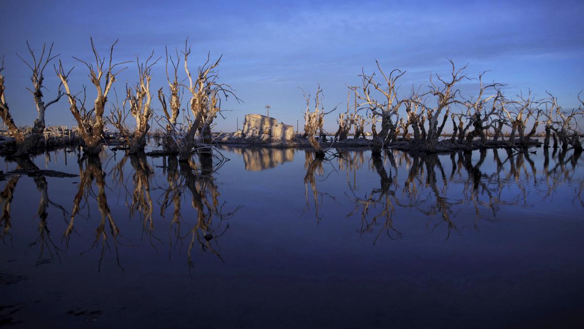 analiza ce urmeaza sa se intample ne indreptam spre colaps economic pretul petrolului va atinge 20