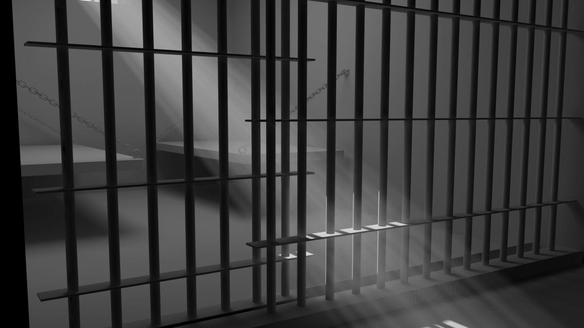 elena udrea va avea parte de conditii mai bune in arest celulele vor fi renovate cu fonduri europene