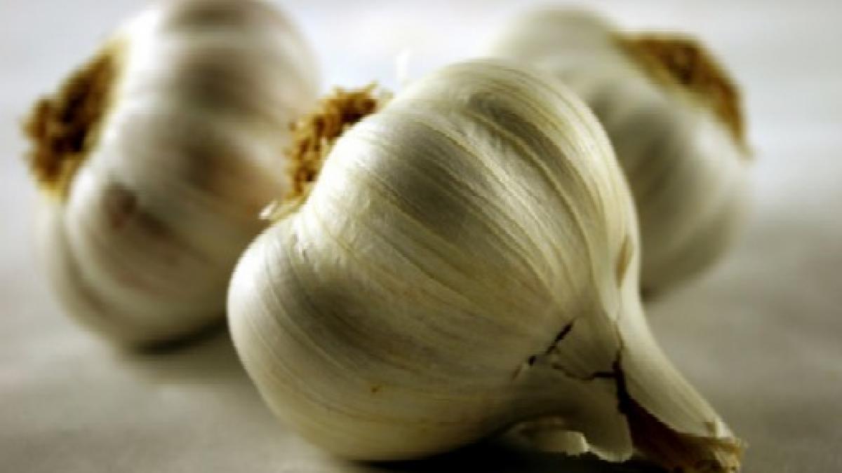 cum reactioneaza organismul tau daca inghiti usturoi pe stomacul gol beneficiile sunt uimitoare