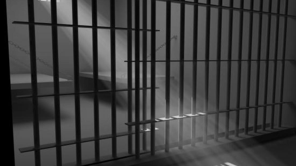 udrea poate fi multumita igpr licitatie pentru toaletele detinutilor de lux