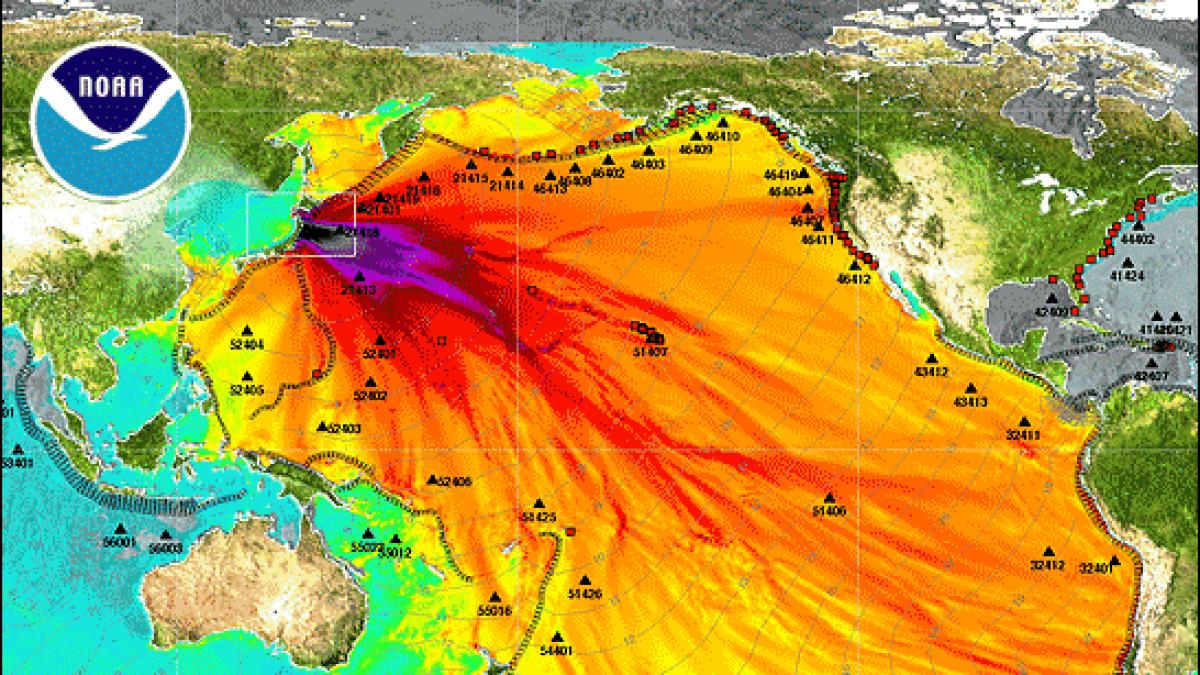 cea mai neagra zi din istoria recenta a japoniei astazi de implinesc 4 ani de la cutremurul