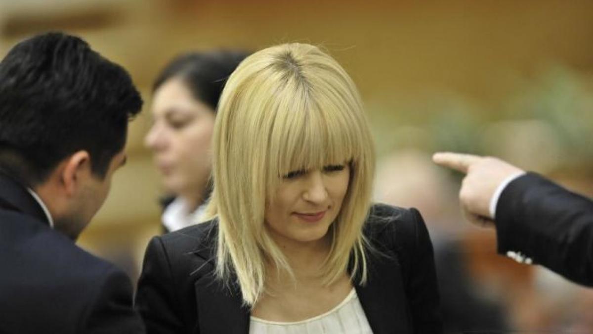 cum merg afacerile elenei udrea de cand fostul ministru e in arest